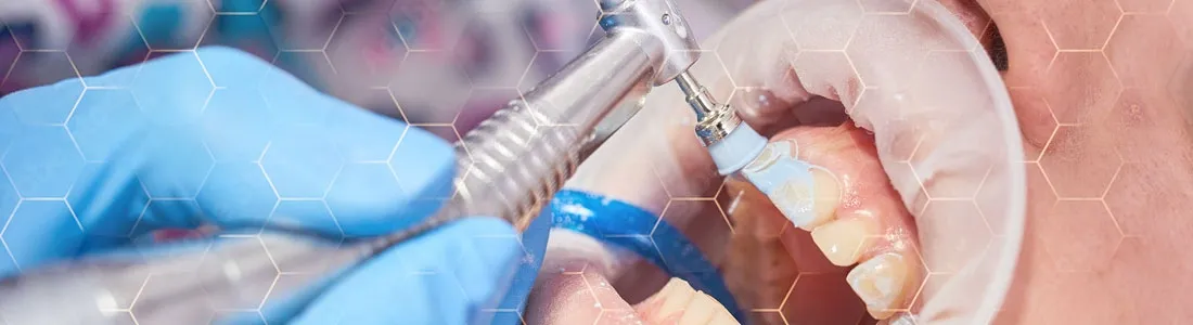 Description for gallery image 21